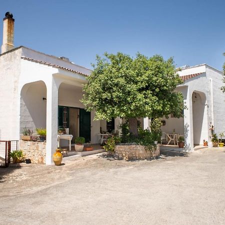 Padresergio Wepuglia La Maison-D B&B מראה חיצוני תמונה